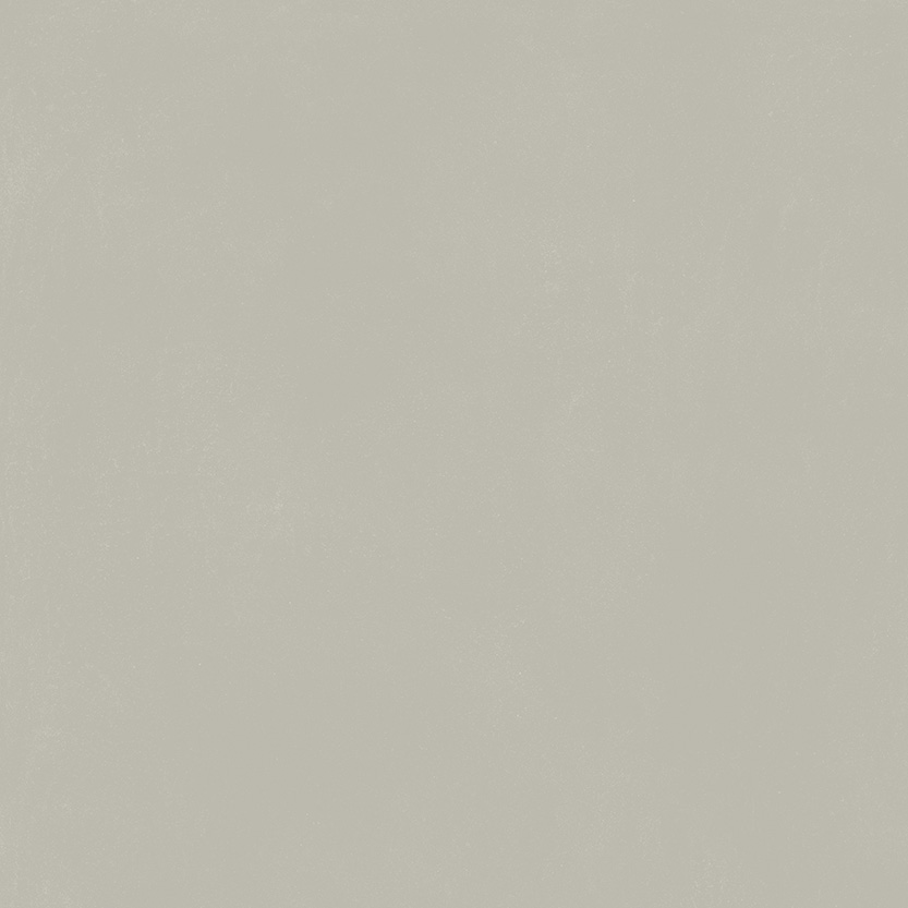 Italon Керамический гранит Forum Керамогранит Slim Silver 80x80 натуральный