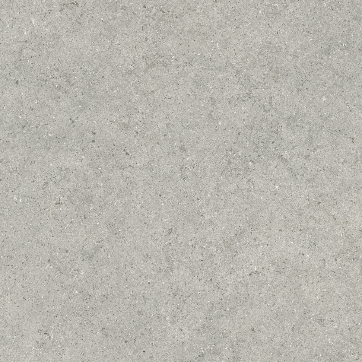 Italon Керамический гранит Forum Керамогранит Stone Silver 80x80 натуральный