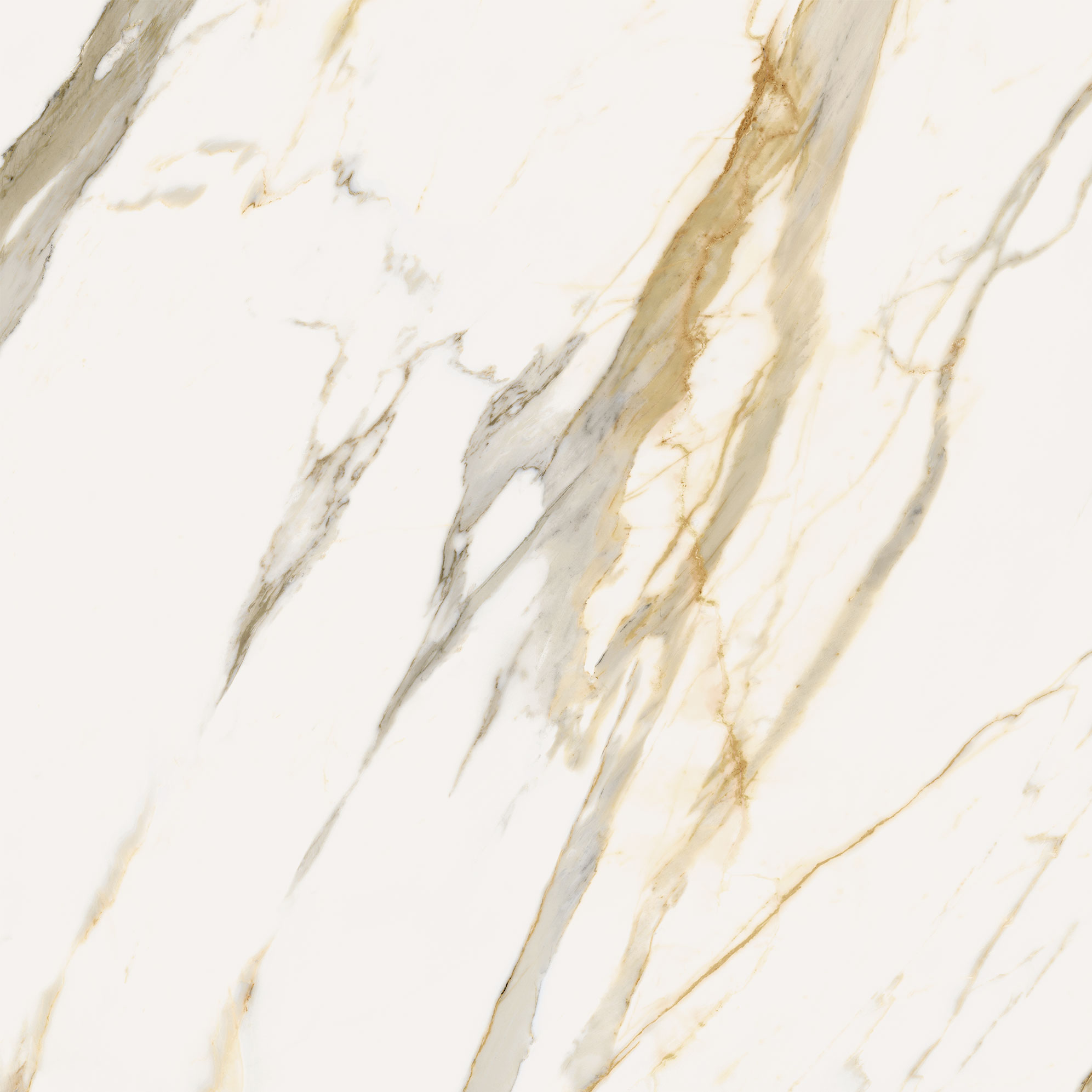 Italon Керамический гранит Stellaris Керамогранит Calacatta Gold 120x120 натуральный