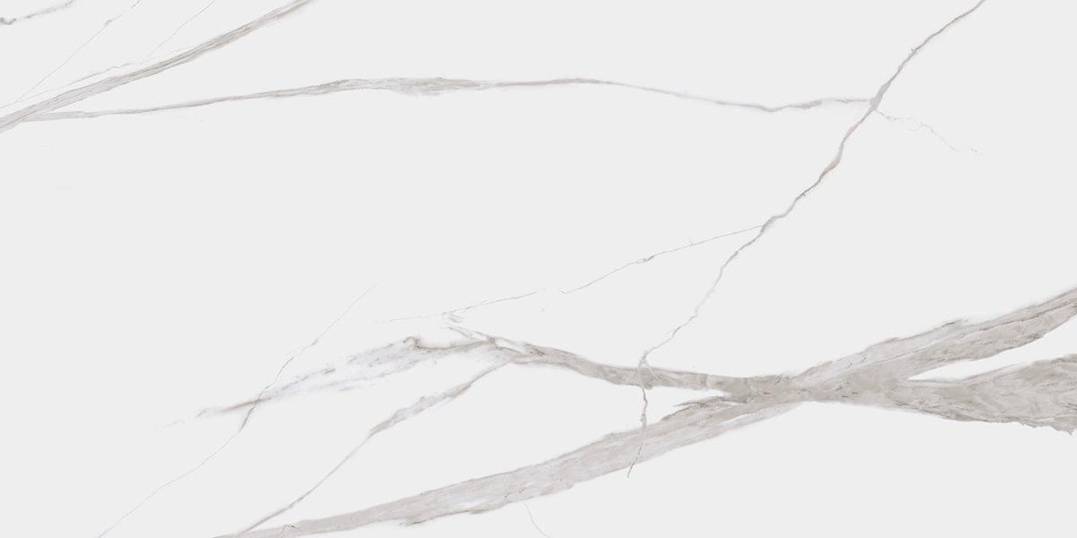 Dogma Project Antibacterial Керамогранит Calacatta Levigato 60x120 полированный