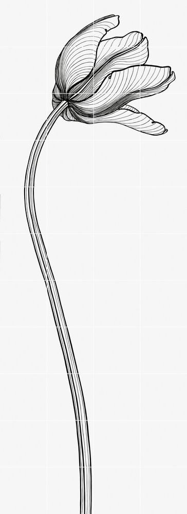 Bardelli Tuli-Charme Декор 4 80x220 глазурованный глянцевый